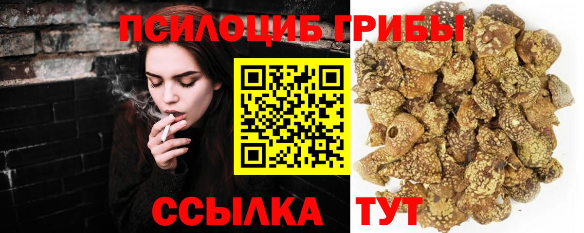 Псилоцибиновые грибы ЛСД  Галлюциногенные грибы GOLDEN TEACHER  Вход с VPN  Находка 