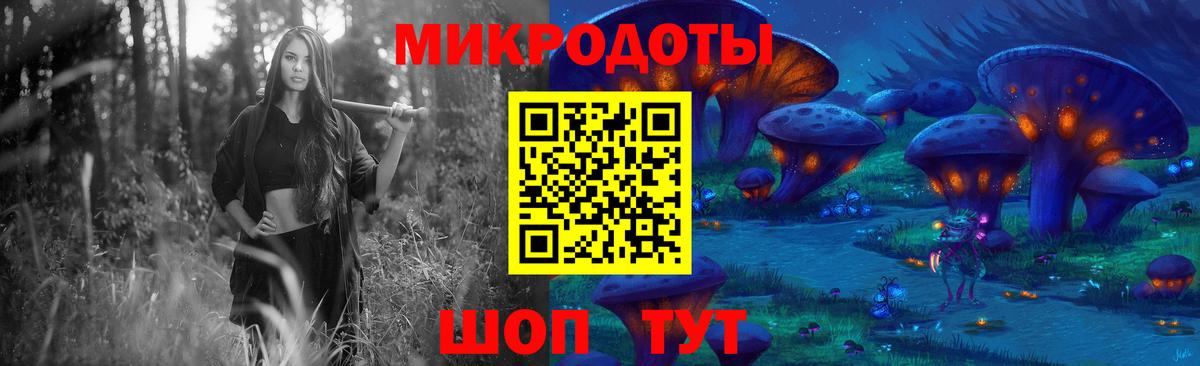 Псилоцибиновые грибы Psilocybe Находка
